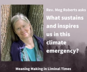 Sunday February 11th 10 am ONLY on Zoom Rev. Meg Roberts What Sustains and Inspires Us in this Climate Emergency?